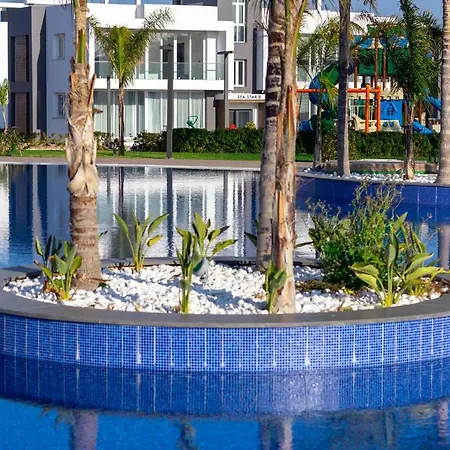 Four Seasons Life * Trikomo