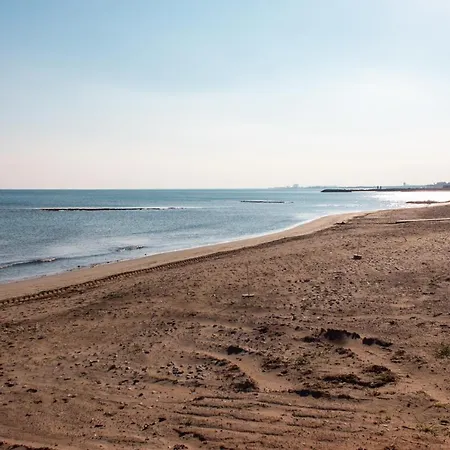 Four Seasons Life * Trikomo