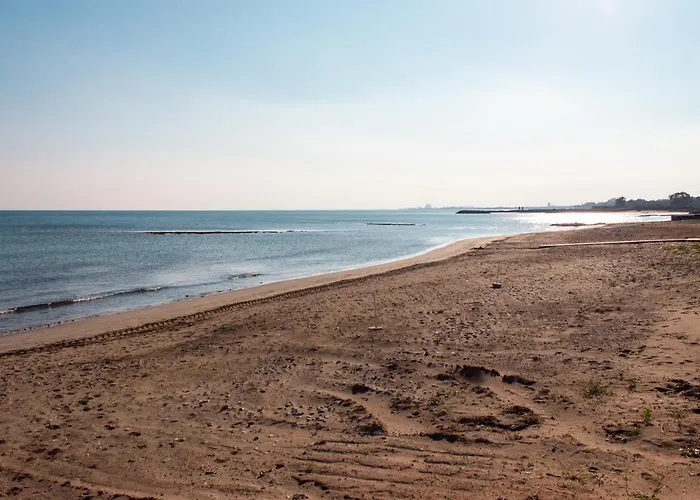 Four Seasons Life * Trikomo