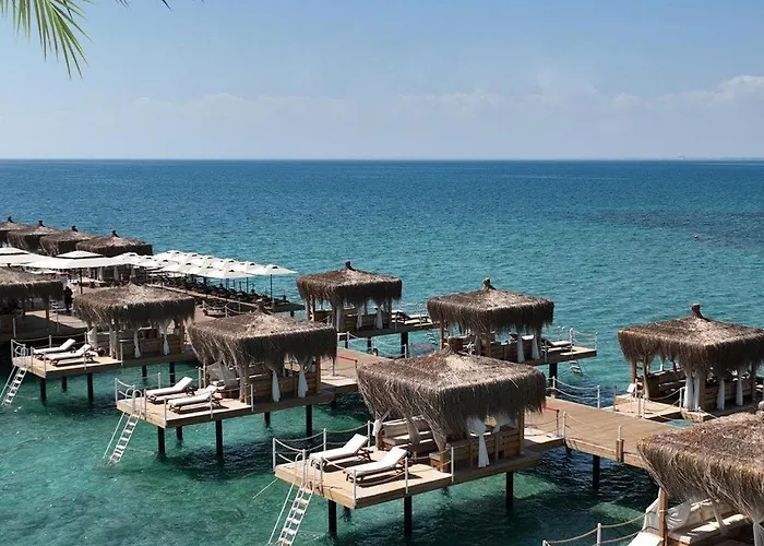 Four Seasons Life Trikomo